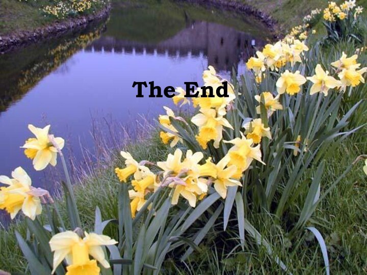 The End