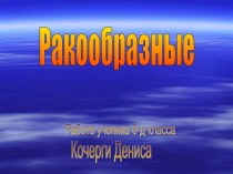 Ракообразные класс членистоногих