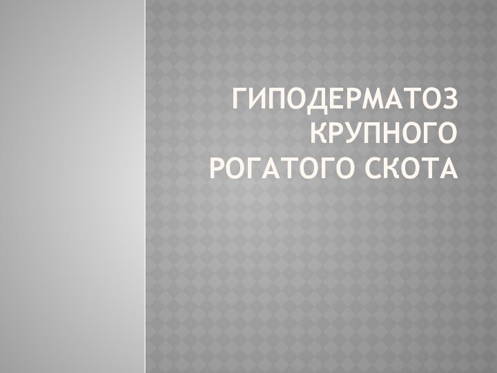 ГИПОДЕРМАТОЗ КРУПНОГО РОГАТОГО СКОТА