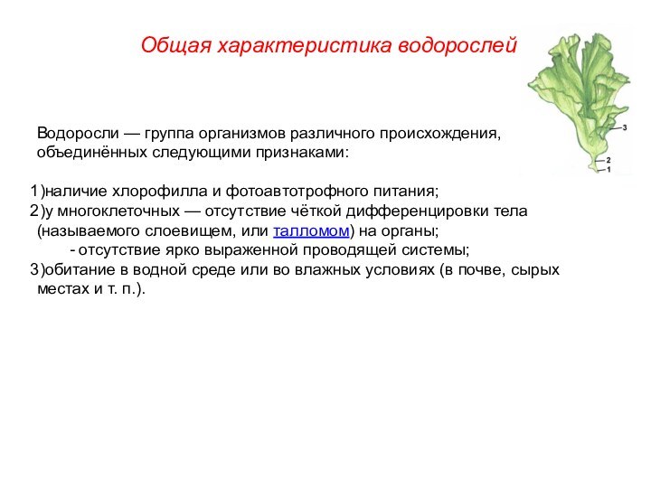 Водоросли — группа организмов различного происхождения, объединённых следующими признаками: наличие хлорофилла и фотоавтотрофного