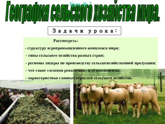 География сельского хозяйства мира. (Урок 7)