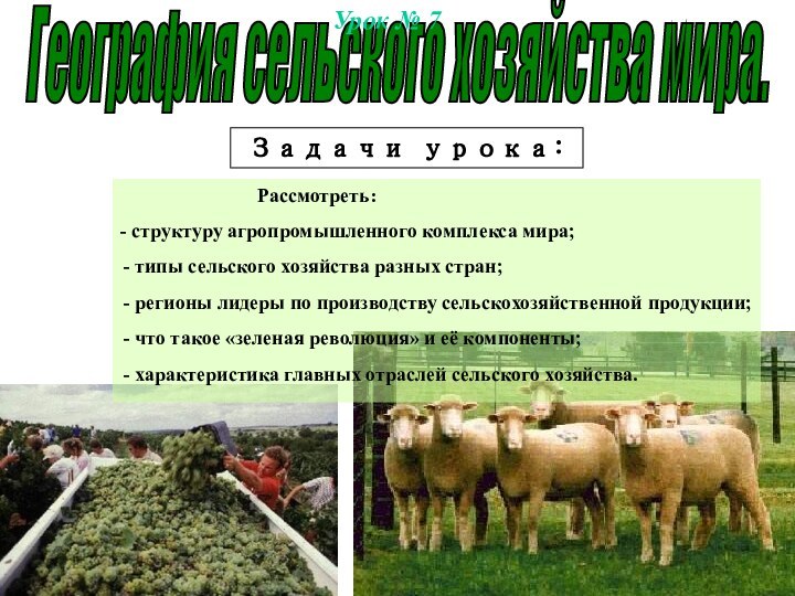 География сельского хозяйства мира.Урок № 7 Задачи урока: