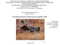 Состояние ресурсов глухаря (Tetrao urogallus) в РФ