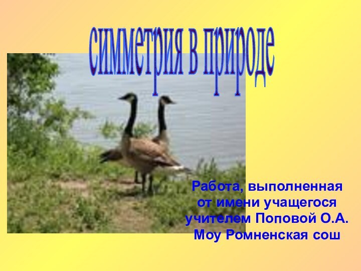 Работа, выполненная от имени учащегося учителем Поповой О.А.Моу Ромненская сошсимметрия в природе