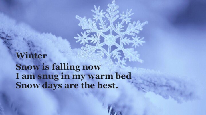 WinterSnow is falling now I am snug in my warm bed Snow days are the best.