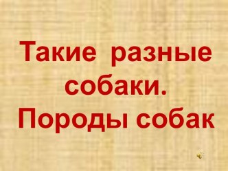 Такие разные собаки. Породы собак