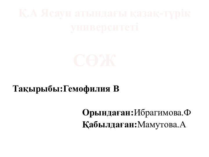 Қ.А Ясауи атындағы қазақ-түрік университеті