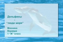 Морские млекопитающие дельфины