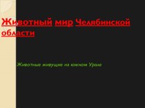 Животный мир Челябинской области. Животные, живущие на Южном Урале