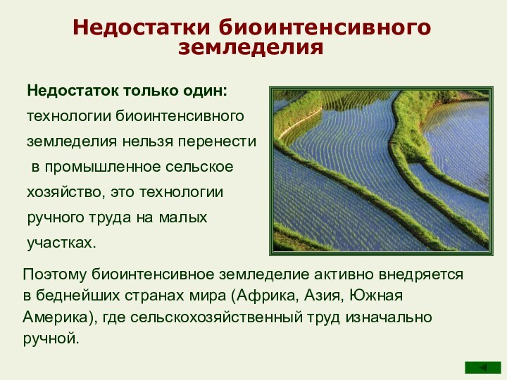 Недостатки биоинтенсивного земледелияНедостаток только один: технологии биоинтенсивного земледелия нельзя перенести  в