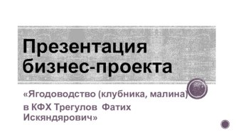 Бизнес-проект. Ягодоводство (клубника, малина) в КФХ Трегулов Фатих Искяндярович