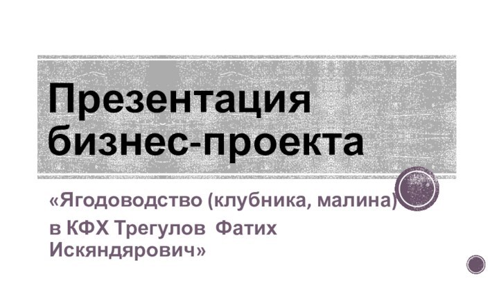 Презентация бизнес-проекта«Ягодоводство (клубника, малина) в КФХ Трегулов Фатих Искяндярович»