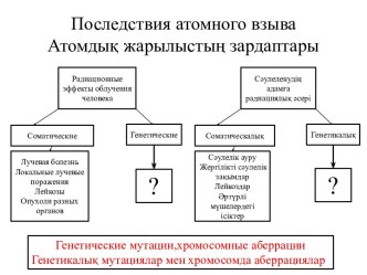 Атомдық жарылыстың зардаптары