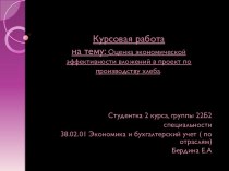 Оценка экономической эффективности вложений в проект по производству хлеба