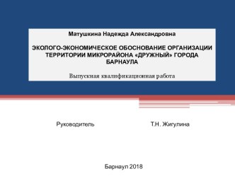 Проведение оценки эколого-экономической эффективности организации территории микрорайона Дружный, города Барнаула