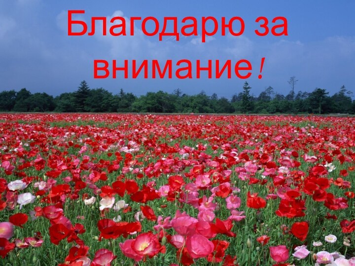 Благодарю за внимание!