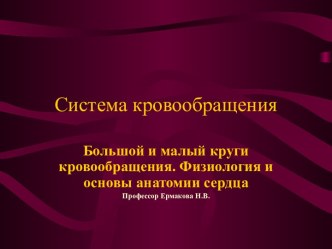 Система кровообращения. Большой и малый круги кровообращения. Физиология и основы анатомии сердца