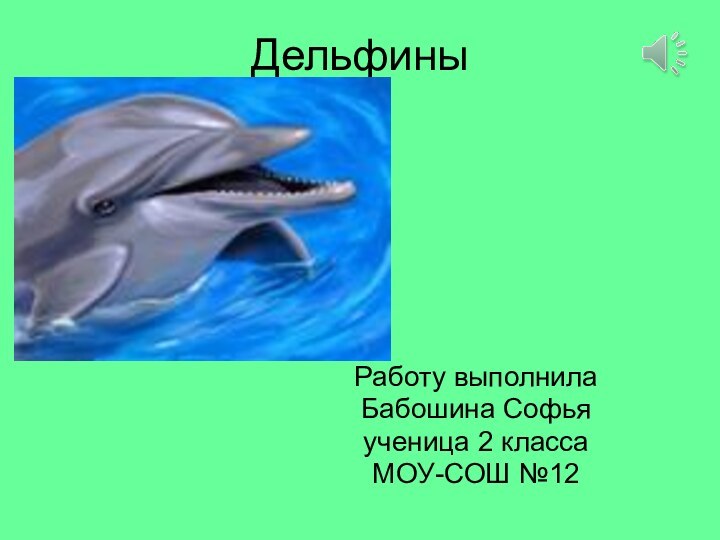Дельфины Работу выполнила Бабошина Софья ученица 2 класса МОУ-СОШ №12