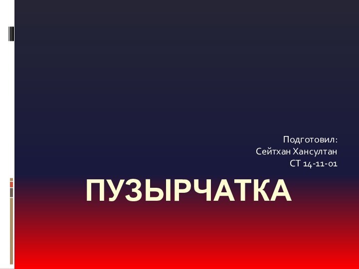 ПУЗЫРЧАТКАПодготовил:Сейтхан ХансултанСТ 14-11-01