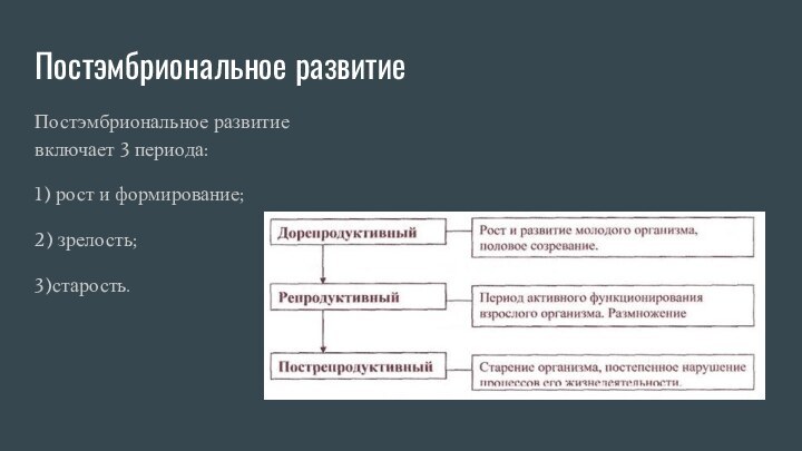 Постэмбриональное развитиеПостэмбриональное развитие включает 3 периода: 1) рост и формирование;2) зрелость;3)старость.