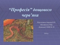 “Професія” дощового черв’яка