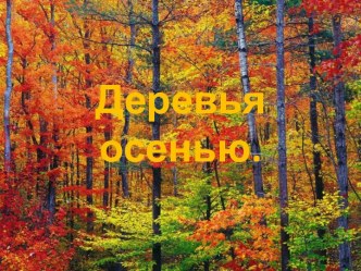 Деревья осенью