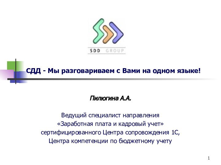 СДД - Мы разговариваем с Вами на одном языке!Пилюгина А.А. Ведущий специалист направления