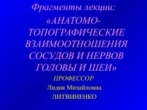 Сосуды и нервы головы и шеи