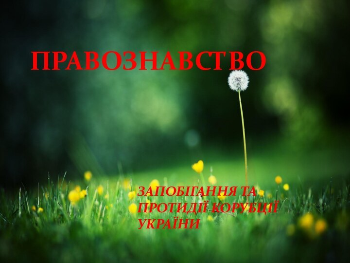 ПРАВОЗНАВСТВО ЗАПОБІГАННЯ ТА ПРОТИДІЇ КОРУБЦІЇ УКРАЇНИ