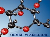 Обмен углеводов. Углеводы как химические соединения. Функции углеводов