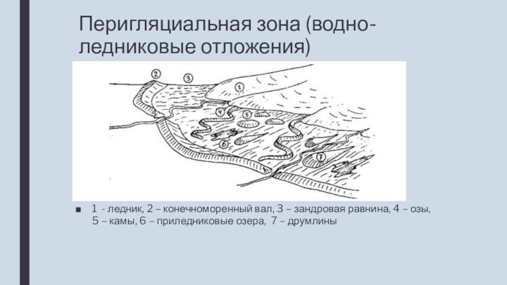 Перигляциальная зона (водно-ледниковые отложения)1 - ледник, 2 – конечноморенный вал, 3 –