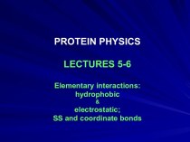 Elementary interactions: hydrophobic & electrostatic; SS and coordinate bonds