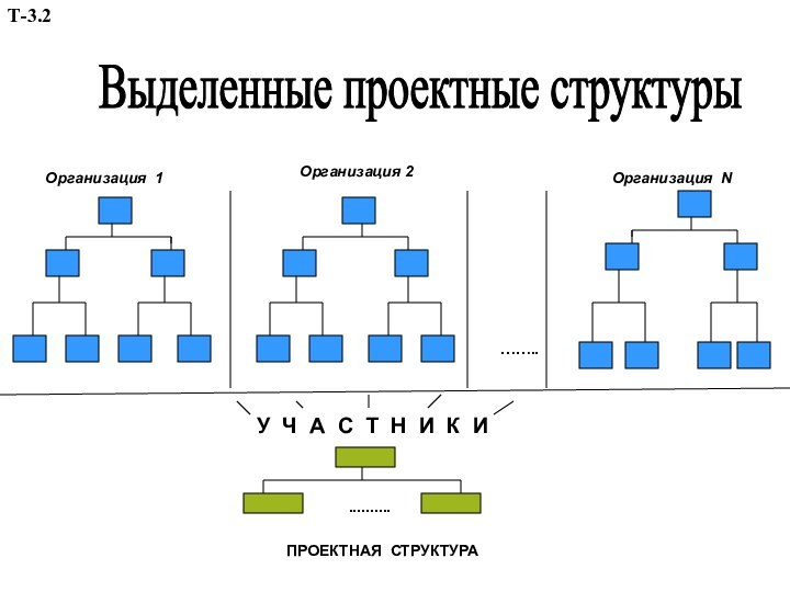 Выделенные проектные структуры ……..У Ч А С Т Н И К И