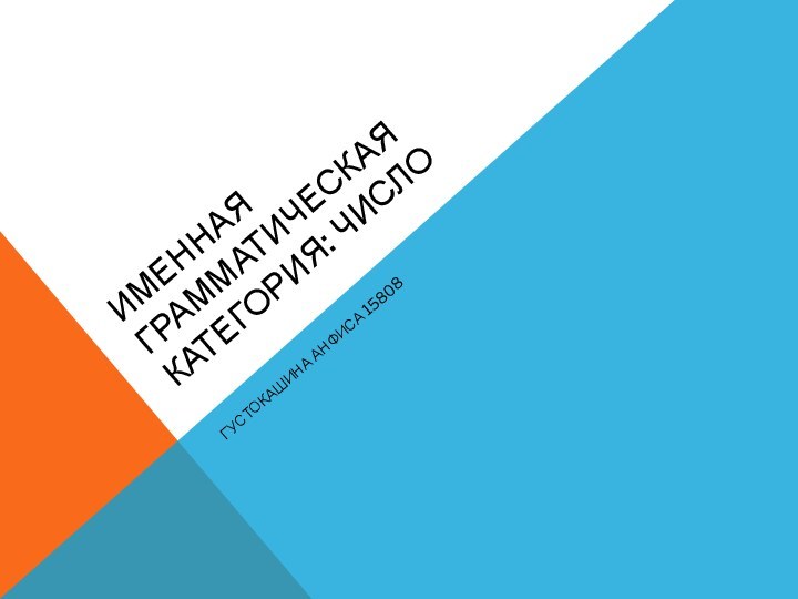 ИМЕННАЯ ГРАММАТИЧЕСКАЯ КАТЕГОРИЯ: ЧИСЛО ГУСТОКАШИНА АНФИСА 15808