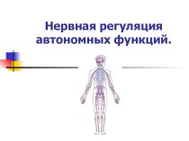 Нервная регуляция автономных функций