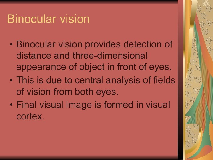 Binocular vision Binocular vision provides detection of distance and three-dimensional appearance of