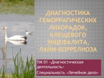 Диагностика геморрагических лихорадок, клещевого энцефалита, лайм-боррелиоза