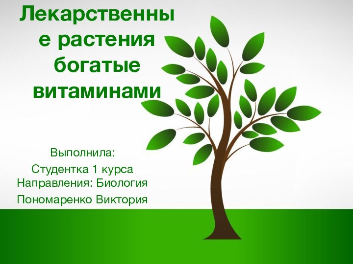 Лекарственные растения богатые витаминамиВыполнила:Студентка 1 курса Направления: БиологияПономаренко Виктория