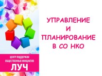 Управление и планирование в СО НКО