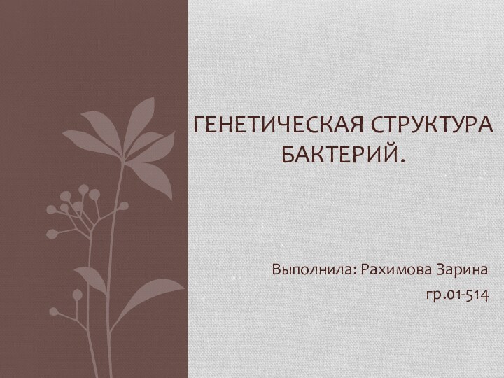 Выполнила: Рахимова Зарина гр.01-514ГЕНЕТИЧЕСКАЯ СТРУКТУРА БАКТЕРИЙ.