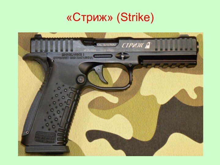 «Стриж» (Strike)