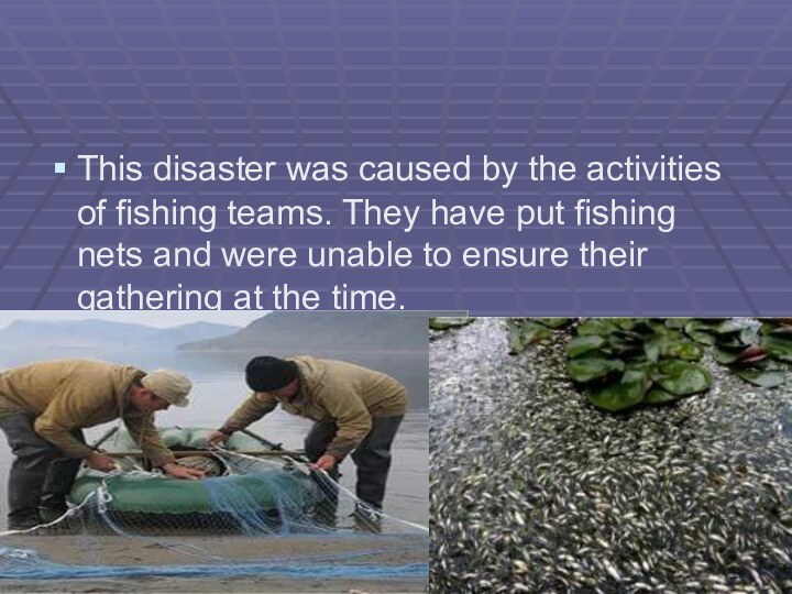 This disaster was caused by the activities of fishing teams. They have
