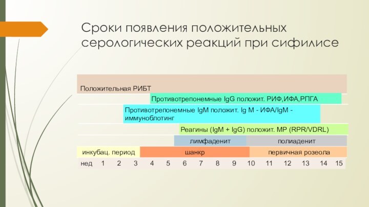 Сроки появления положительных серологических реакций при сифилисе