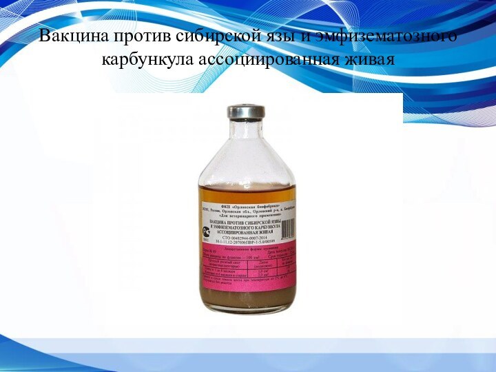 Вакцина против сибирской язы и эмфизематозного карбункула ассоциированная живая