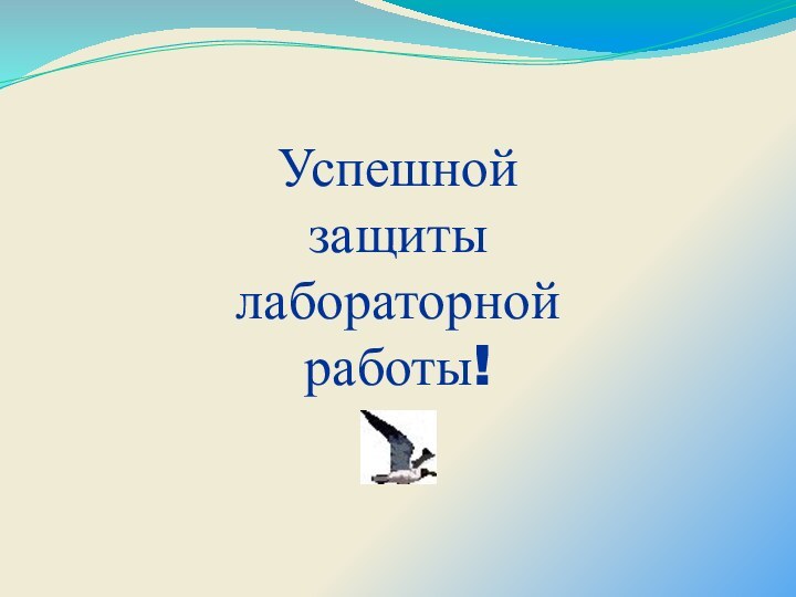 Успешной  защиты  лабораторной  работы!