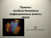 Прионы особые белковые инфекционные агенты PRION