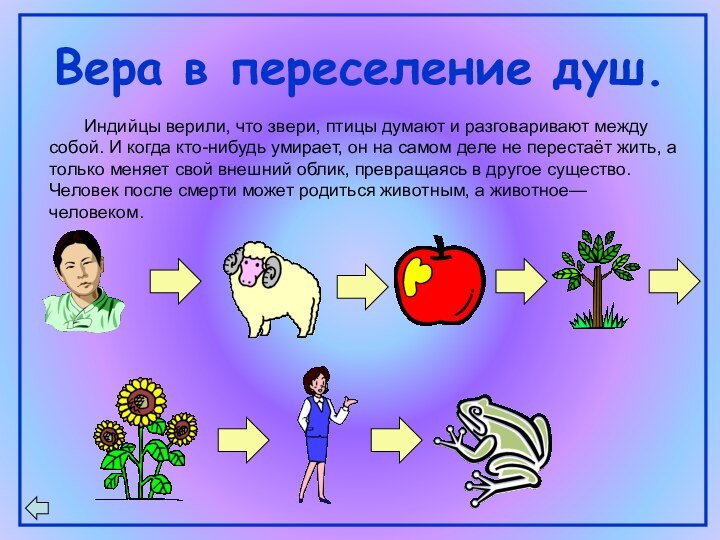 Вера в переселение душ.    Индийцы верили, что звери, птицы