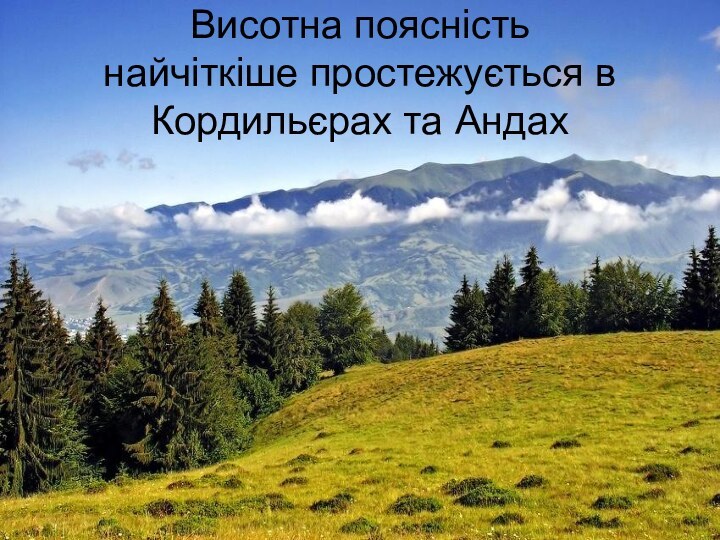 Висотна поясність найчіткіше простежується в Кордильєрах та Андах