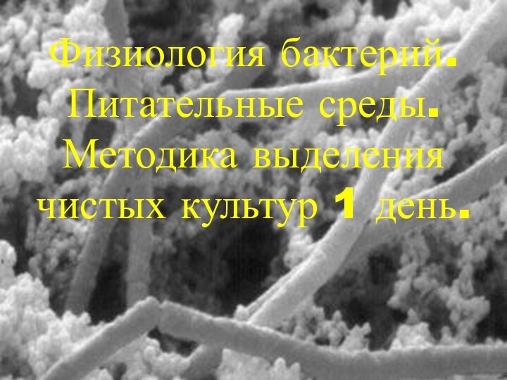 Физиология бактерий. Питательные среды. Методика выделения чистых культур 1 день.