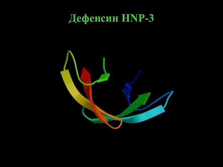 Дефенсин HNP-3